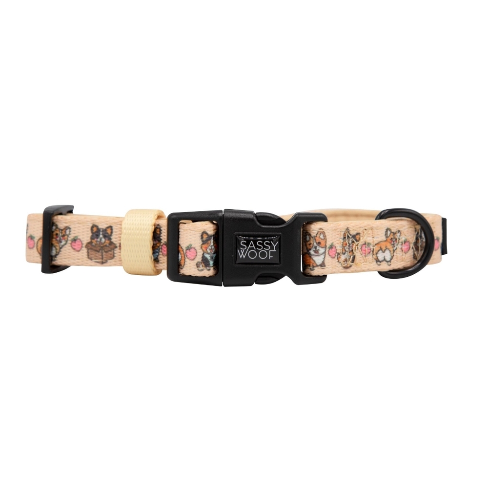 Sassy Woof Corgilicious Medium Dog Collar - Picture 2 of 8